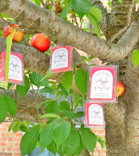 Load image into Gallery viewer, apple cinnamon soy wax melts